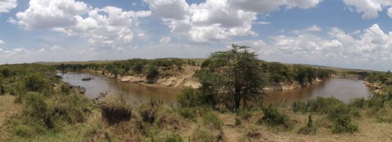 The Mara river