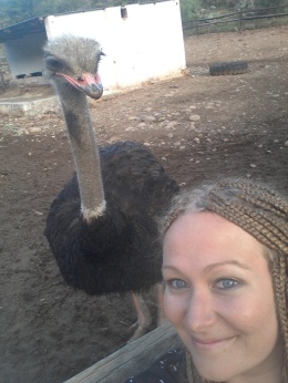 Ostrich #selfie