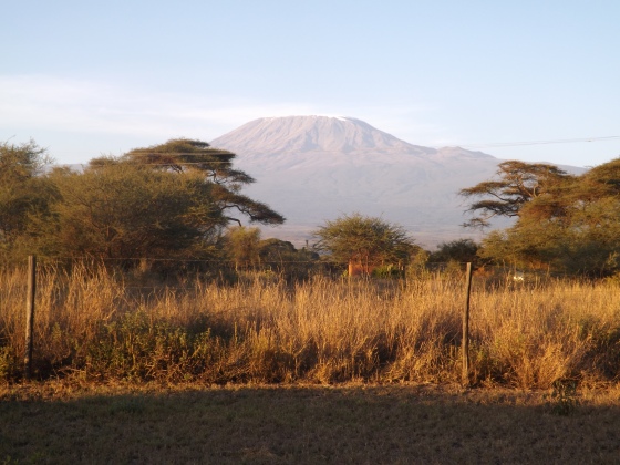 Beautiful Mount Kilimanjaro